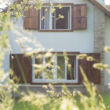 Casa Bunicii - Bran Sohodol Villa Sohodol  Exteriör bild