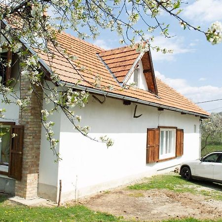 Casa Bunicii - Bran Sohodol Villa Sohodol  Exteriör bild