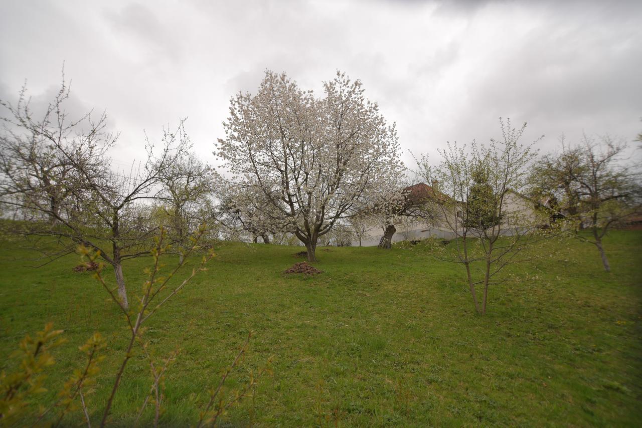 Casa Bunicii - Bran Sohodol Villa Sohodol  Exteriör bild