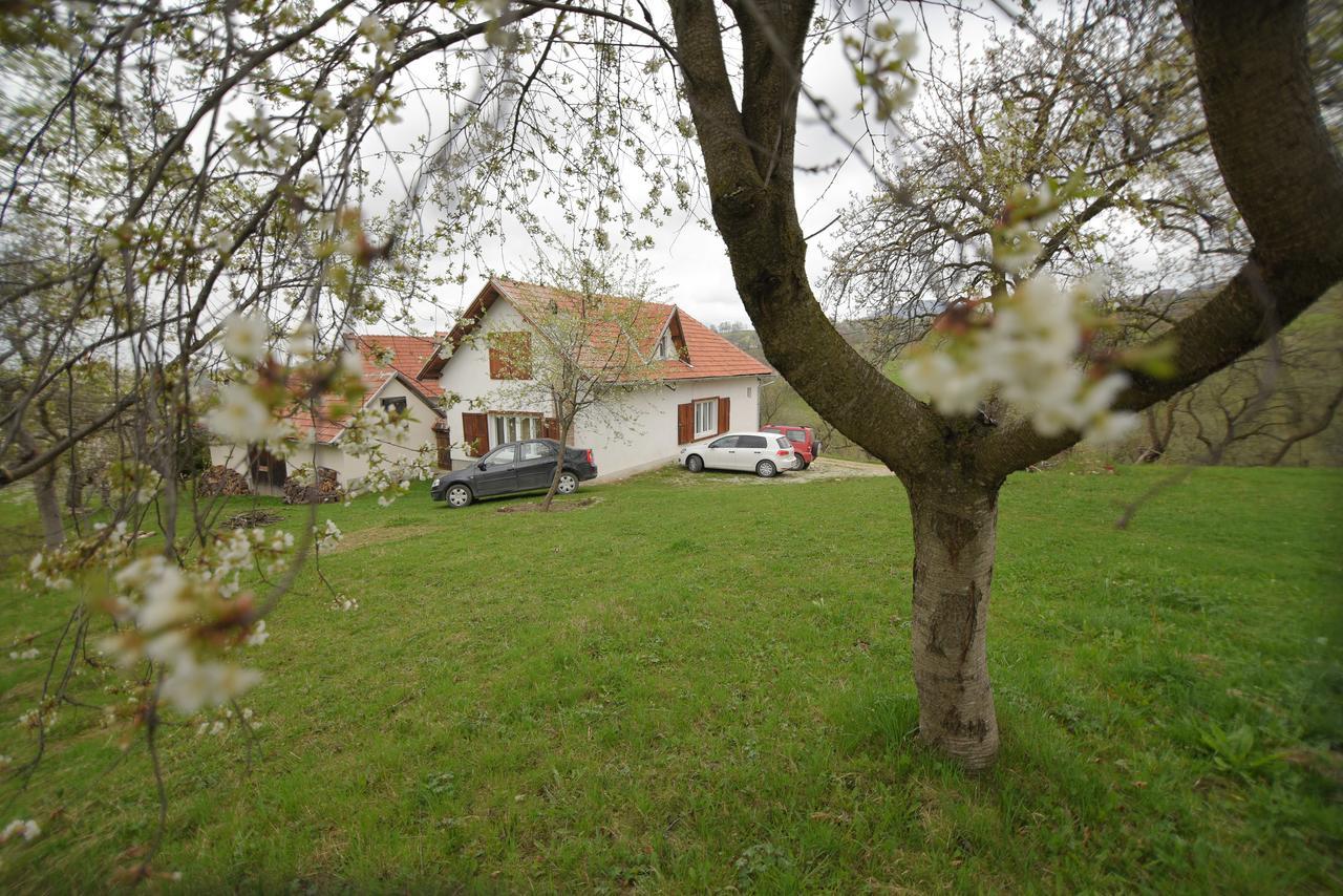 Casa Bunicii - Bran Sohodol Villa Sohodol  Exteriör bild
