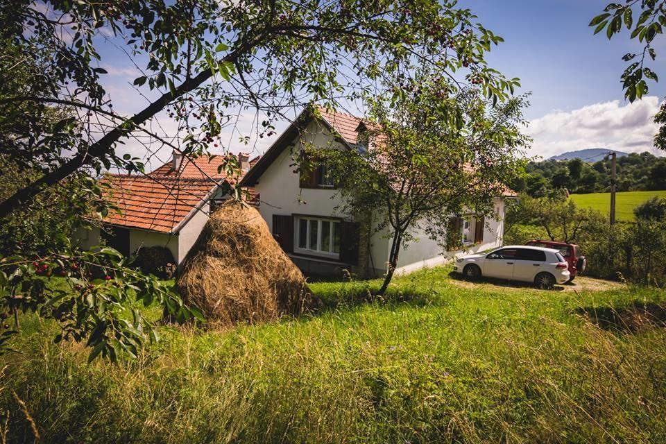 Casa Bunicii - Bran Sohodol Villa Sohodol  Exteriör bild