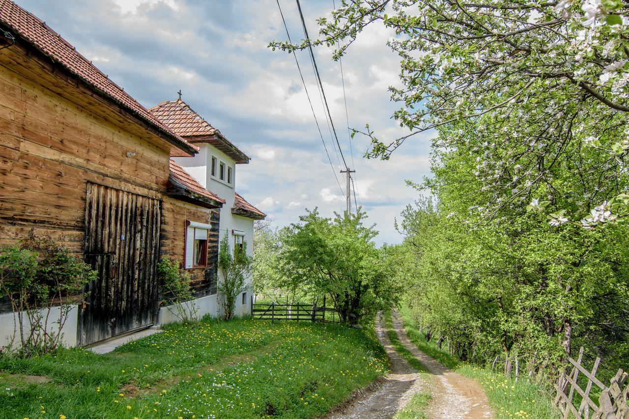 Casa Bunicii - Bran Sohodol Villa Sohodol  Exteriör bild