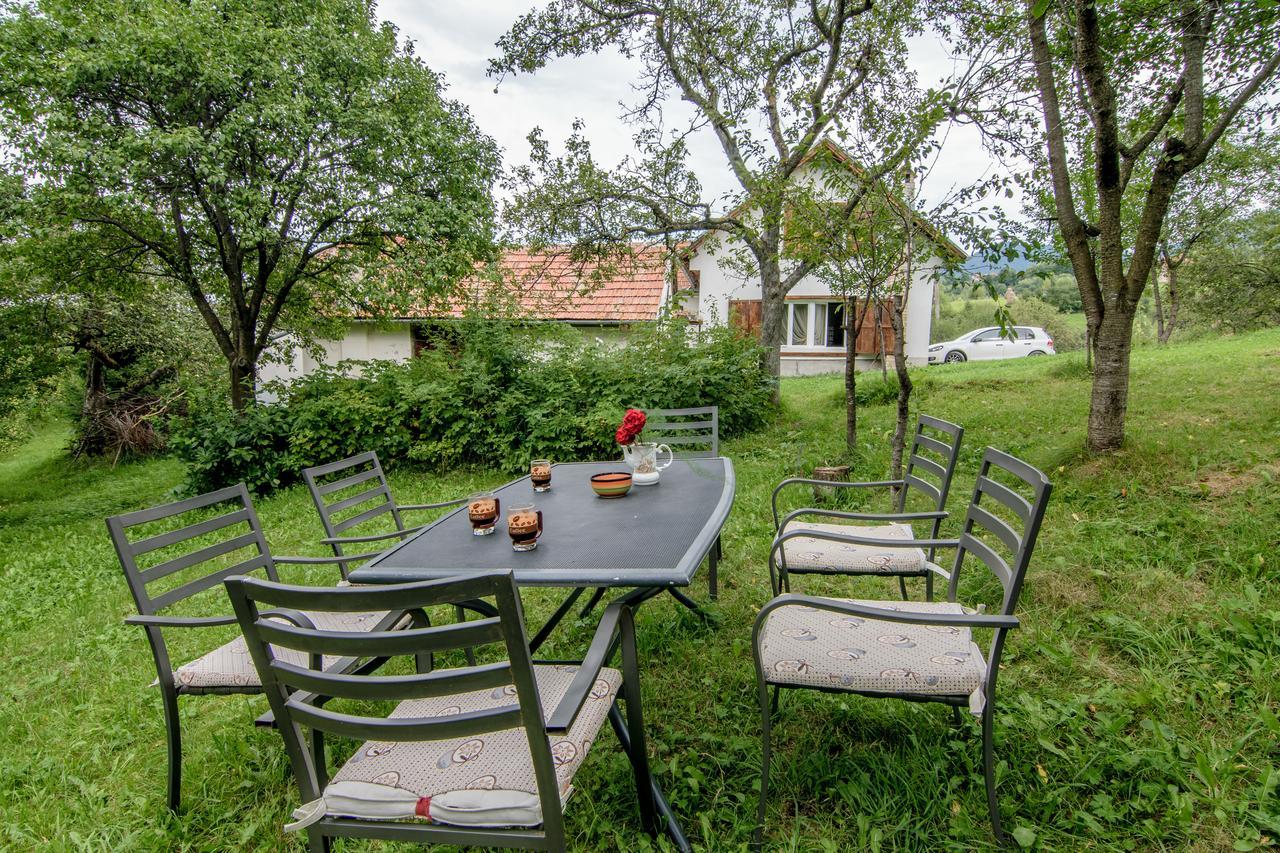 Casa Bunicii - Bran Sohodol Villa Sohodol  Exteriör bild