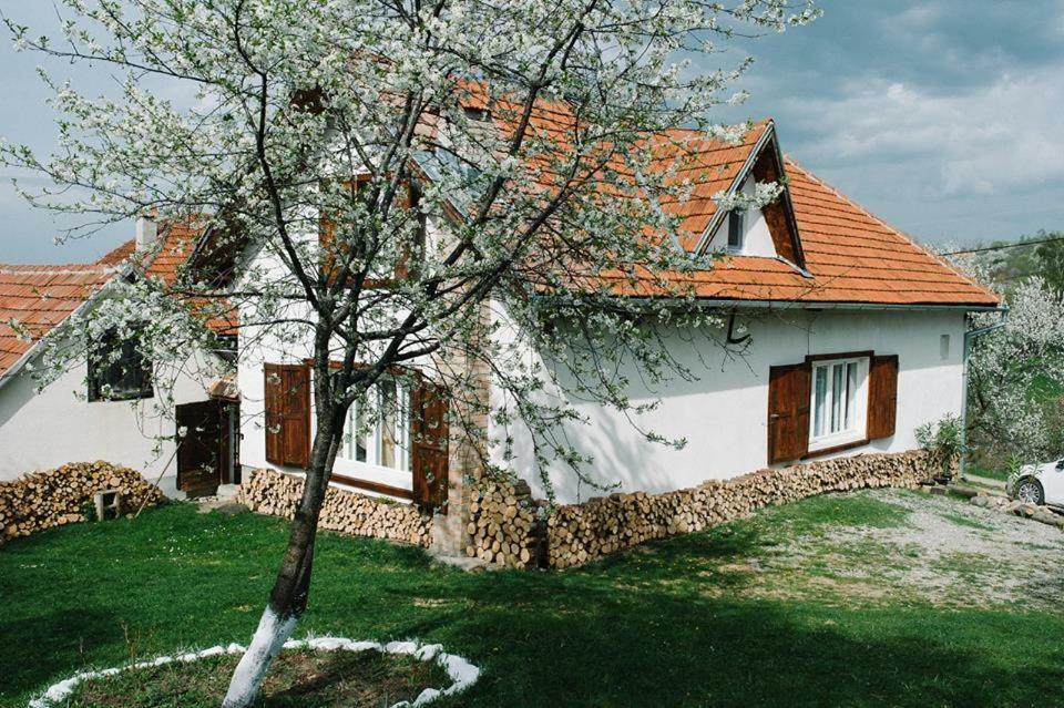 Casa Bunicii - Bran Sohodol Villa Sohodol  Exteriör bild
