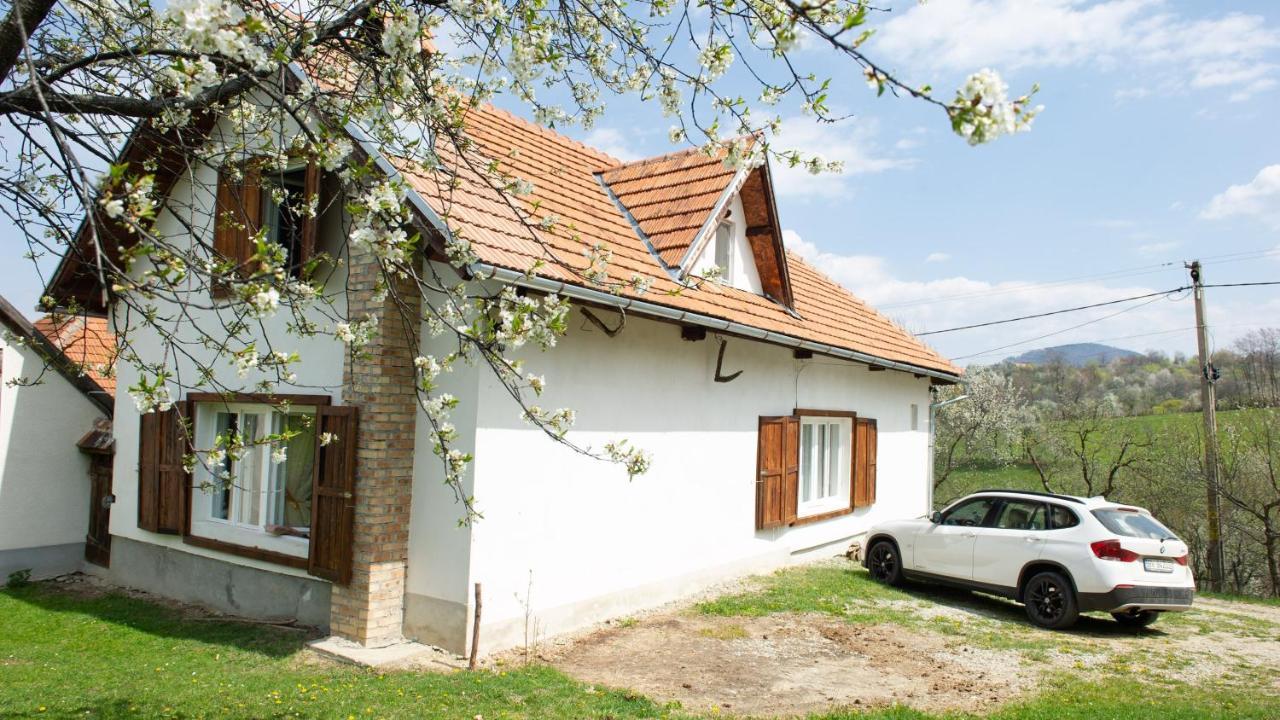 Casa Bunicii - Bran Sohodol Villa Sohodol  Exteriör bild